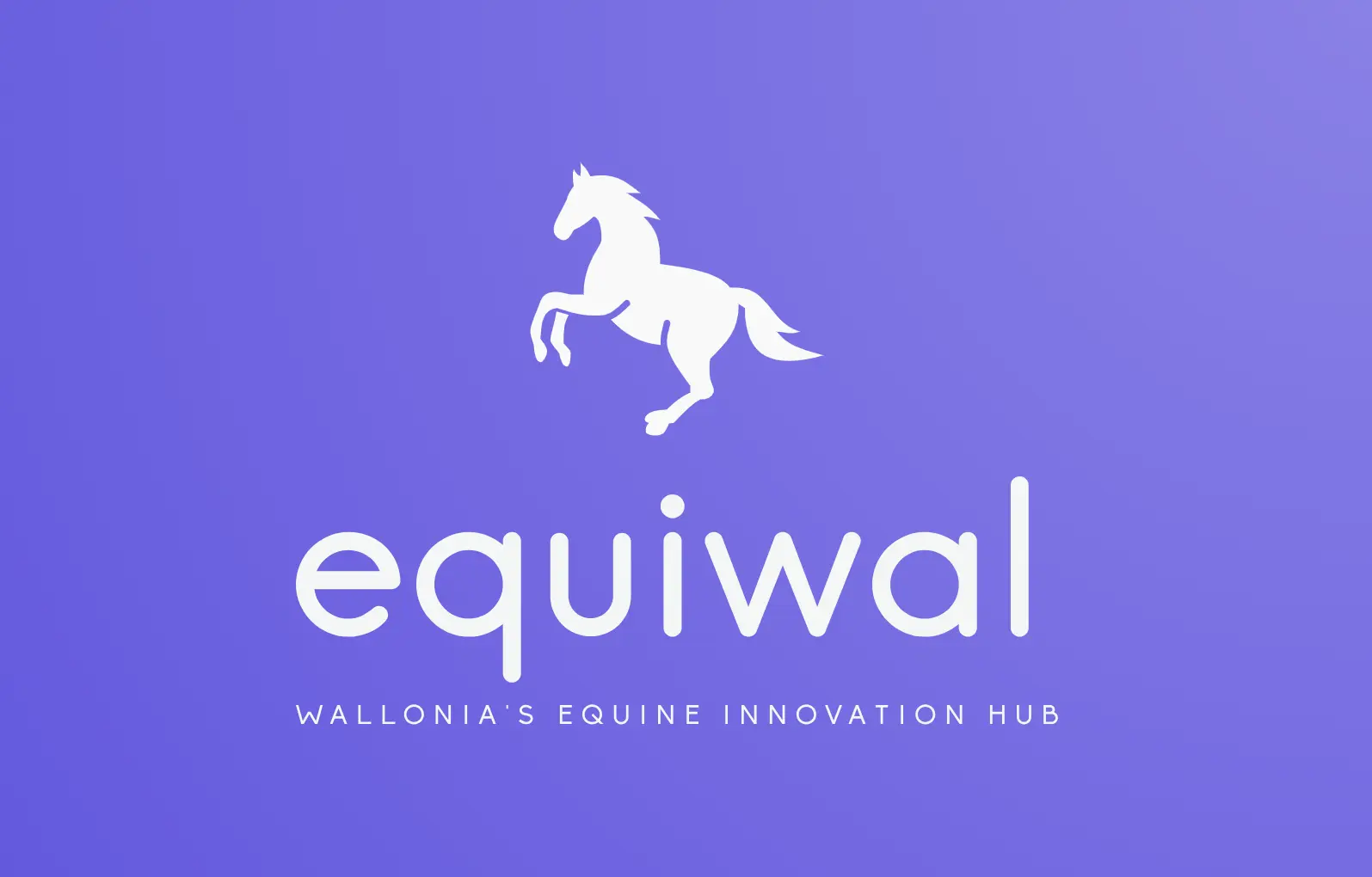 Equiwal - Catalogue